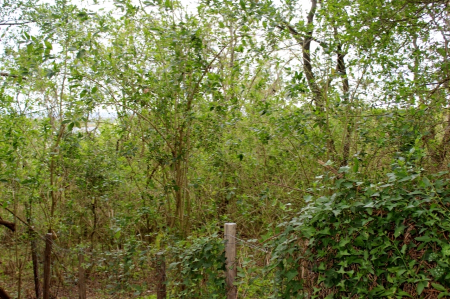 4 Bedroom Property for Sale in Bathurst Eastern Cape